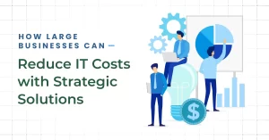 Cost-Effective IT Solutions for Large-Scale Businesses