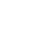 API-White-Logo